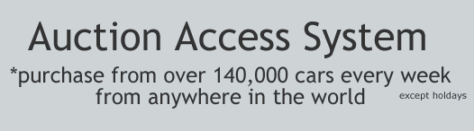 Auction Access System